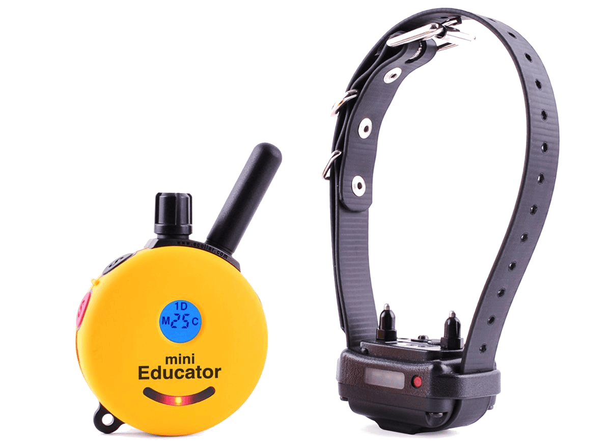 ET-300 E-Collar Mini Educator